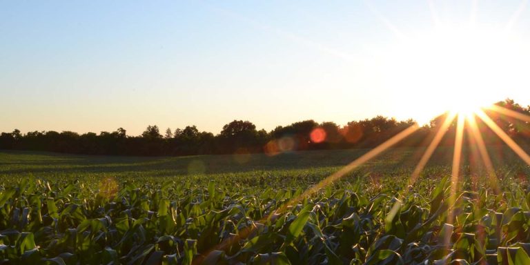 header-entreprise-france-pivots-slider